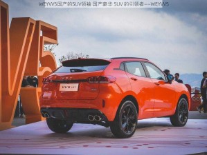 WEYVV5国产的SUV领袖 国产豪华 SUV 的引领者——WEYVV5