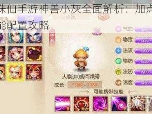 梦幻诛仙手游神兽小灰全面解析：加点策略与技能配置攻略