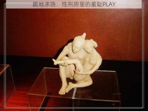 跪地求饶：性刑房里的羞耻PLAY