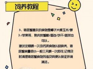 寄居蟹的独特饲养方法与注意事项：营造适宜环境，提供营养丰富的饮食，精心照料你的海洋生物伙伴