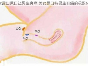 美女露出尿口让男生爽痛,美女尿口特男生爽痛的极致体验