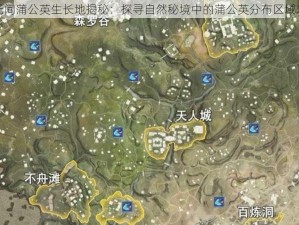 永劫无间蒲公英生长地揭秘：探寻自然秘境中的蒲公英分布区域之奥秘