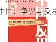 2-6teeseX 中国：争议与反思