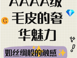 AAAA级跟AAAA级的相似度,AAAA 级和 AAAA 级的相似度有多高？