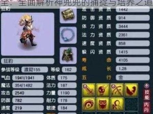 梦幻西游无双版神宠神兜兜获取攻略大全：全面解析神兜兜的捕捉与培养之道