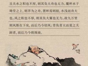 逍遥放大与命中注定：探寻关系间的微妙交织与虚实相生之谜