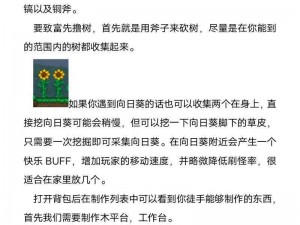 泰拉瑞亚腐化蔓延防控策略：守护领地不受腐化侵蚀的实战攻略