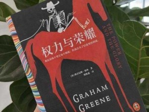 权力与荣耀福利系统全面解析：内容概览与实际应用指南