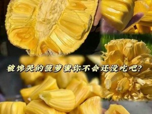 菠萝蜜国际一区麻豆、菠萝蜜国际一区麻豆的最新视频资源在哪里可以找到？