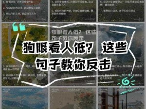 狗子反击：全面安装与配置指南