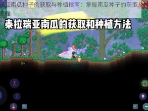 泰拉瑞亚南瓜种子的获取与种植指南：掌握南瓜种子的获取及种植方法全流程