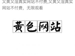 又黄又湿真实网站不付费,又黄又湿真实网站不付费，无限观看