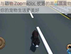 美国与动物 ZoomkooL 牧场的高品质宠物产品，让你的宠物生活更美好