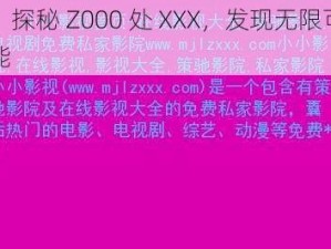 ：探秘 Z000 处 XXX，发现无限可能