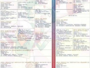 魔力宝贝手游版：装备与宠物系统深度解析与攻略指南