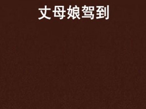 文字探秘：丈母娘驾到——图文全面攻略指引