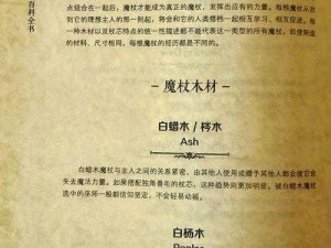 哈利波特魔法觉醒：魔杖更换攻略指南——如何选择与替换你的魔杖？