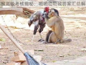 猕猴高级考核揭秘：啪啪动物城答案汇总解析