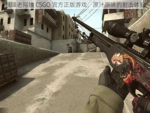 暴躁老阿姨 CSGO 官方正版游戏，原汁原味的射击体验