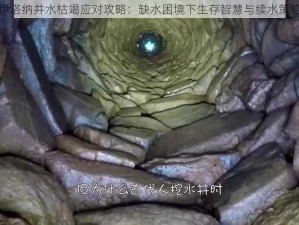 伊洛纳井水枯竭应对攻略：缺水困境下生存智慧与续水策略