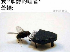 Bzzzz 与 BZZZZZZZZZ 的用法：无声与有声的切换，满足不同场景需求