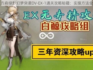 明日方舟绿野幻梦突袭DV-EX-1通关攻略秘籍：实操方法全解析