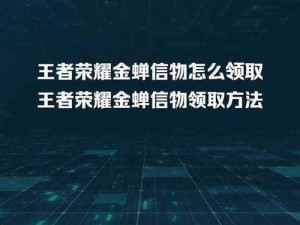 《王者荣耀》单挑王者信物获取攻略：如何获得单挑王英雄的珍贵信物？