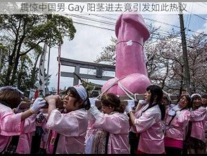 震惊中国男 Gay 阳茎进去竟引发如此热议