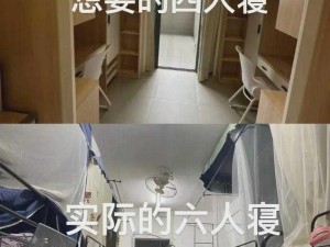 大学寝室506实话实说【大学寝室 506，这些事你该知道】