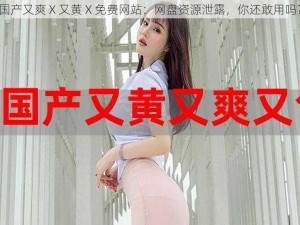 国产又爽 X 又黄 X 免费网站：网盘资源泄露，你还敢用吗？