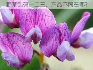 野草乱码一二三，产品不同在哪？