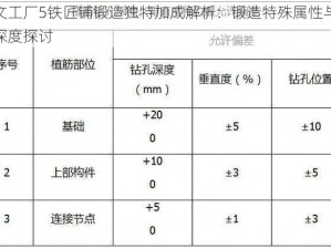 符文工厂5铁匠铺锻造独特加成解析：锻造特殊属性与效益深度探讨