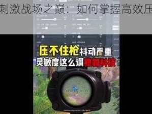 探索刺激战场之巅：如何掌握高效压枪技巧