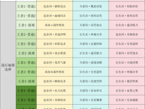 梦幻西游手游九转天阶至尊2攻略详解：高效打法与通关秘籍