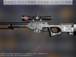 日本顶级CS-GO大片有哪些 日本顶级 CS-GO 大片有哪些？