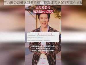 王力宏公司遭遇财务危机，存款被冻结901万事件揭秘