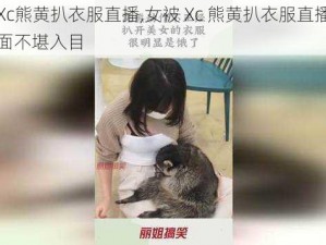 女被Xc熊黄扒衣服直播,女被 Xc 熊黄扒衣服直播，现场画面不堪入目