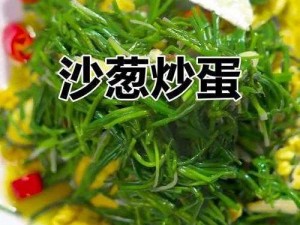 沙葱的制作秘籍：简单步骤炮制美味佳肴的详细指南