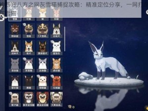 原神四方八方之网灰雪猫捕捉攻略：精准定位分享，一网打尽稀有灰雪猫