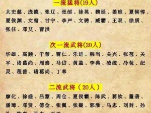 三国英雄荟萃：武将排名大盘点，探讨诛将录中的最佳武将选择