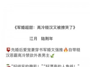 被糙汉爆炒了一夜高H 糙汉将我爆炒了一夜，高 H 不断