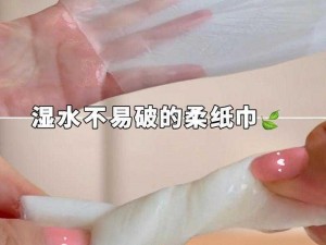 桃子 1000 款黄油纸巾，湿水不易破，可降解材质，环保无刺激