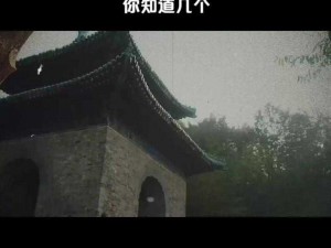 探寻神秘修真圣地神通，解读神农谷仙人秘传功法之精妙