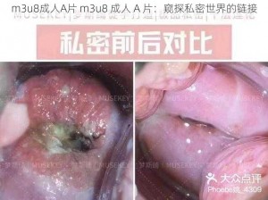 m3u8成人A片 m3u8 成人 A 片：窥探私密世界的链接