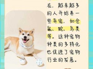 ZOOMDOG2021-ZOOMDOG2021 是什么？有什么作用？