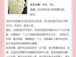 以闪亮之名心意之期新篇章：再见风信子，花语轻诉心意情长之旅