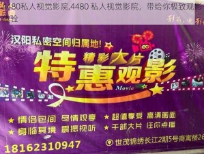 4480私人视觉影院,4480 私人视觉影院，带给你极致观影体验