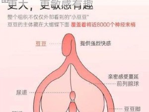 少妇白浆 13p，让你感受极致高潮的私密产品