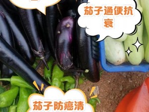 18茄子茄子茄子茄子网站—18 茄子茄子茄子茄子网站：如何保证用户隐私安全？