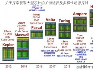 关于探索获取大型芯片的关键途径及多样性起源探讨